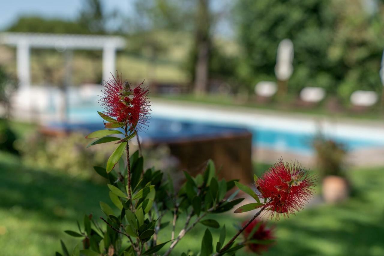 Le Maracla Country House Iesi Bagian luar foto